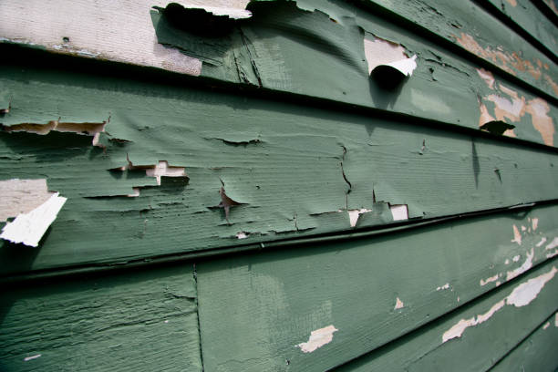 Best Residential Vinyl Siding Installation  in Clarkesville, GA